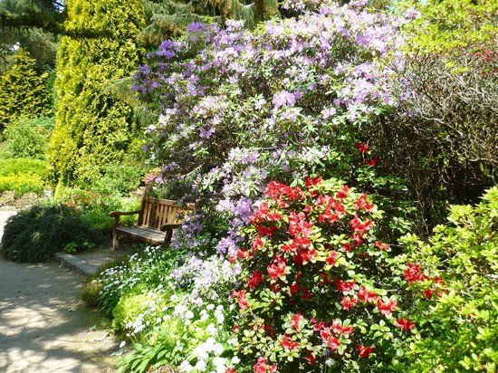 Jardin botanique de Fletcher Moss